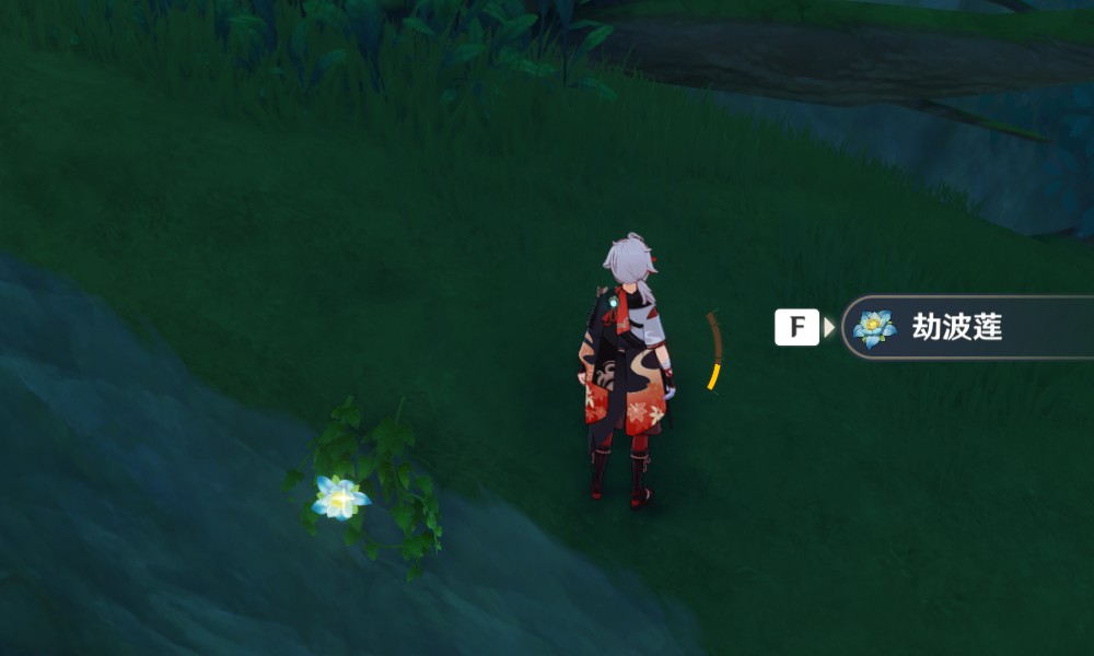 原神劫波莲是做什么用的 须弥特产劫波莲用途一览