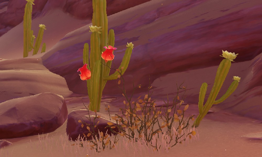 原神赤念果是做什么用的 须弥特产赤念果用途一览