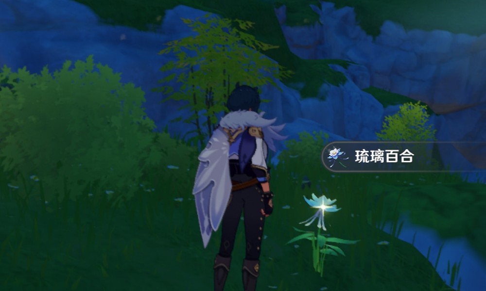原神琉璃百合怎么采集 琉璃百合收集路线攻略一览
