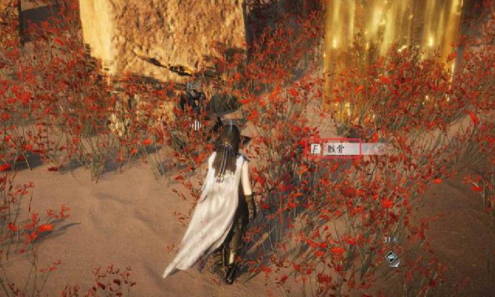 燕云十六声万事知骸骨哀怎么做 骸骨哀任务攻略