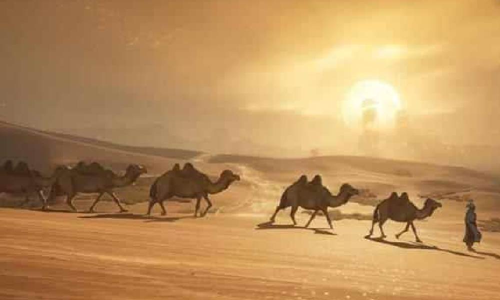 燕云十六声凉州是雪地地图吗 凉州地图介绍