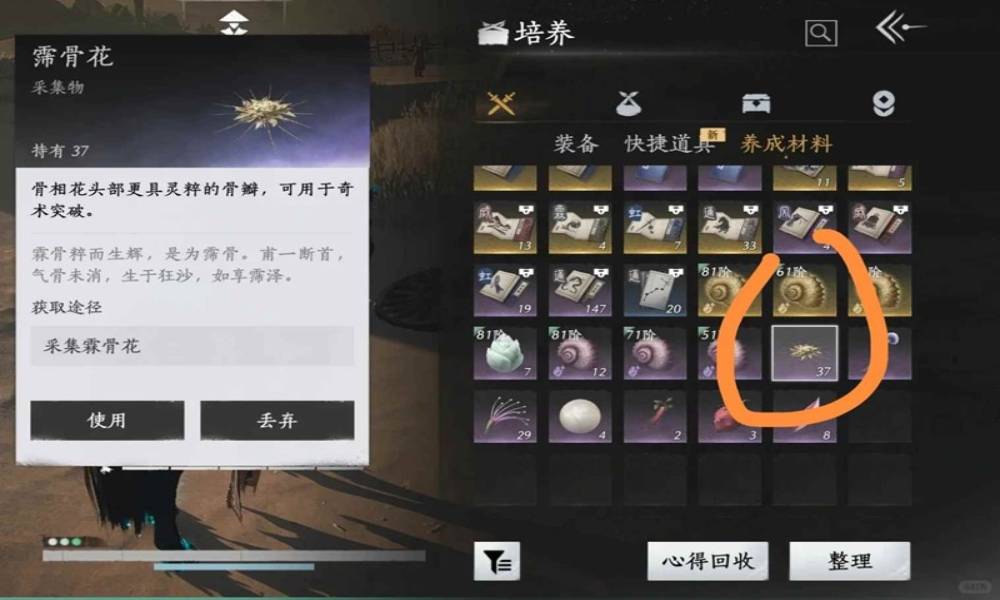 燕云新奇术箫吟千浪 河西霈骨花奇术升级速刷