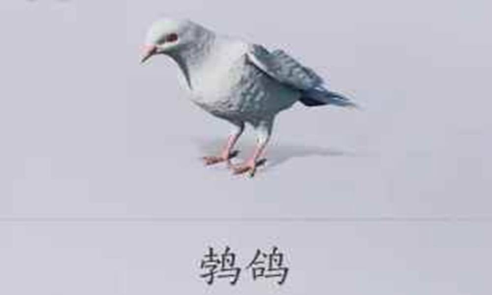 燕云速刷86级玦材料柳叶羽 86阶金玦打造