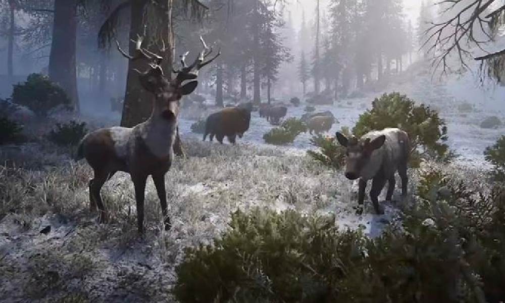 七日世界七日世界禁区上线时间 什么时候上线