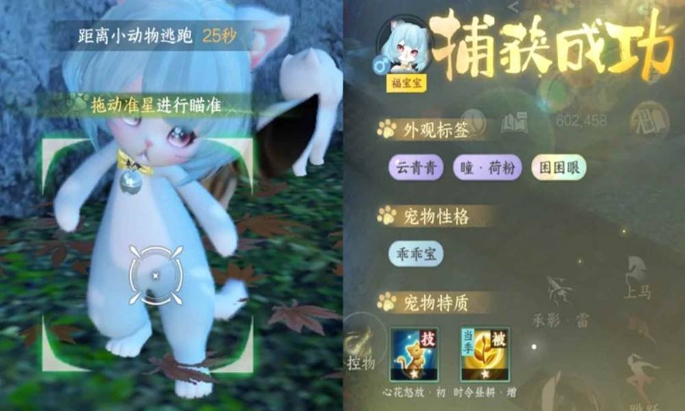 逆水寒新猫宝新体型新异色 宠物捕捉点位推荐