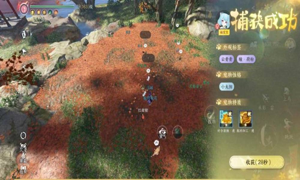 逆水寒手游新猫宝宝怎么抓 抓捕攻略及注意事项