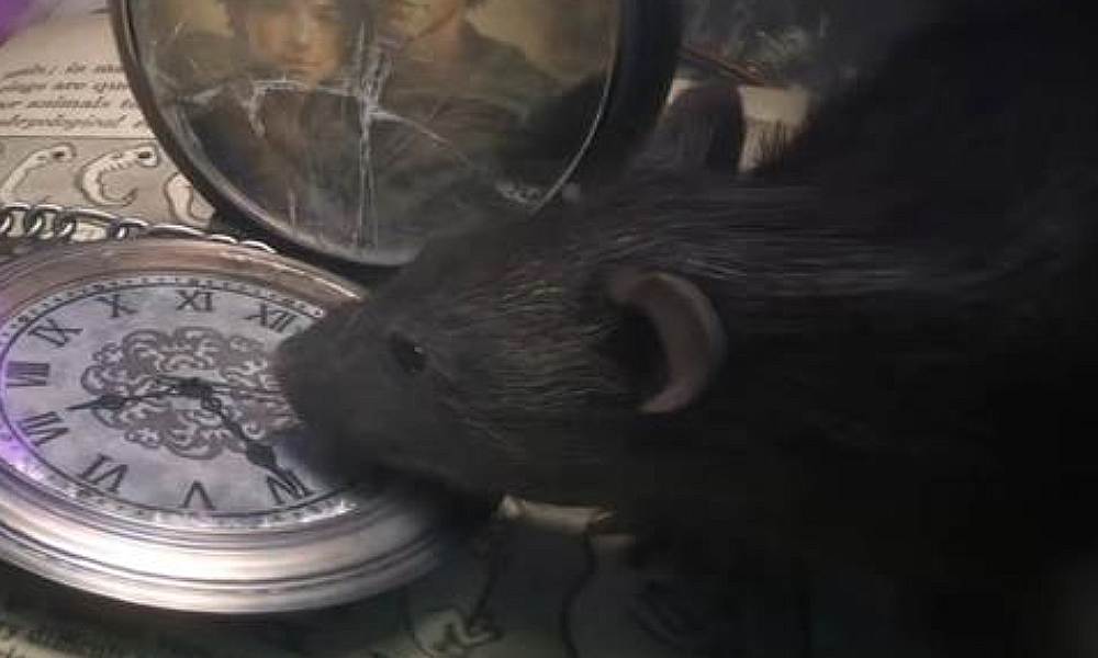 和平精英地铁逃生 新地图概念片PV视频发布