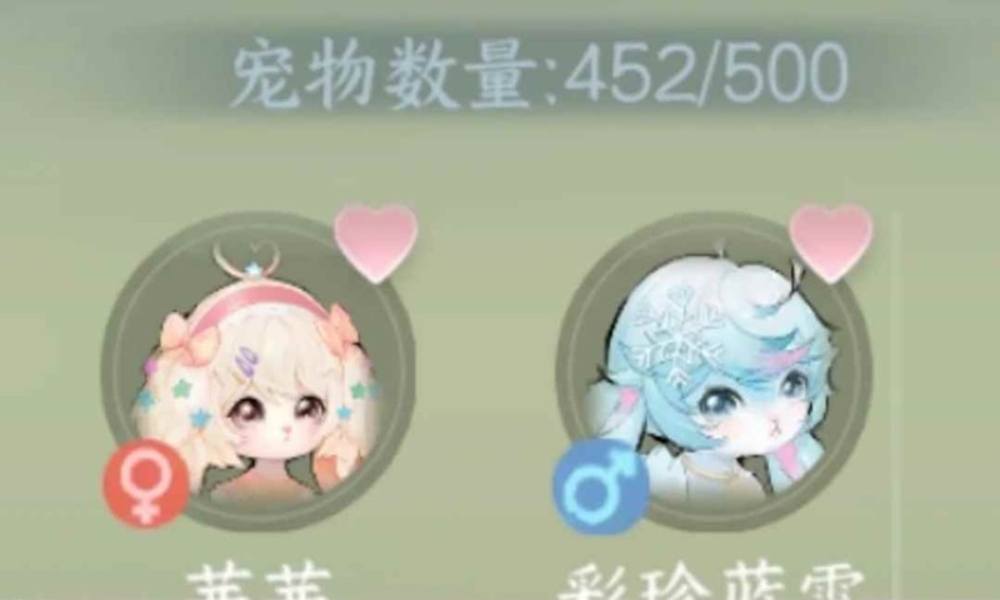 逆水寒手游新猫宝宝繁育攻略 新猫宝宝怎么繁育