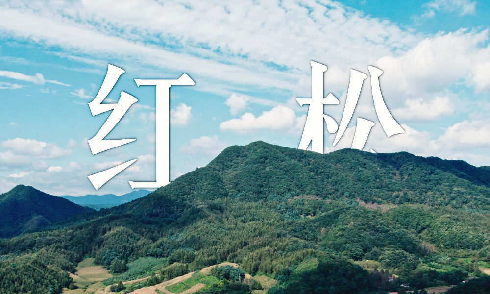 逆水寒手游x中国绿化基金会神农计划第二弹启动