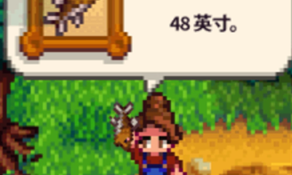 星露谷物语钓鱼有什么技巧 钓鱼玩法详细教学