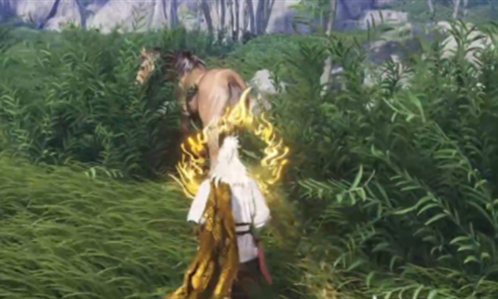 燕云十六声秦马怎么抓 秦马驯服方法详解