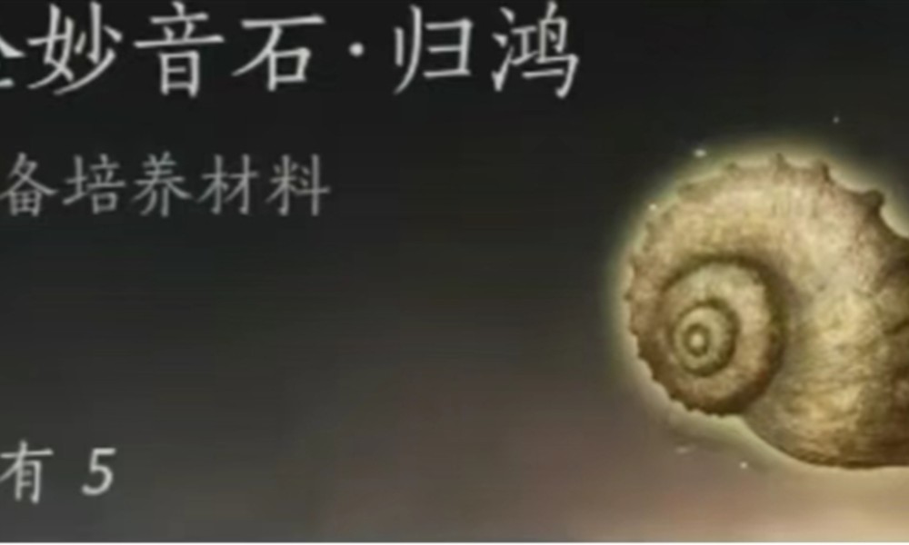 燕云十六声金妙音石归鸿怎么刷 81级装备速刷攻略