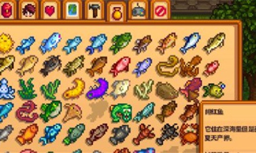 星露谷物语绯红鱼在哪里钓 夏季绯红鱼钓点位置