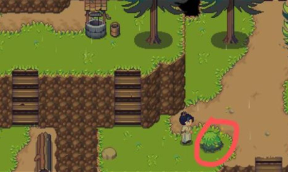 江城创业记野琴花在哪里 野琴花采集位置详细介绍