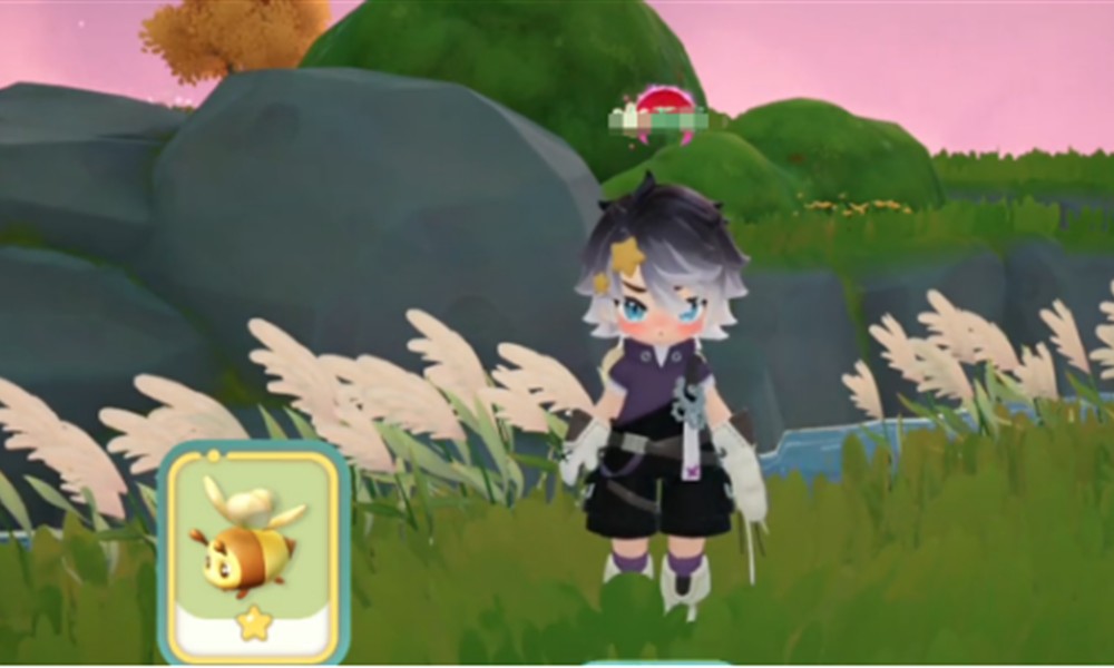 米姆米姆哈小橘蜂怎么抓 小橘蜂捕捉地点与方法