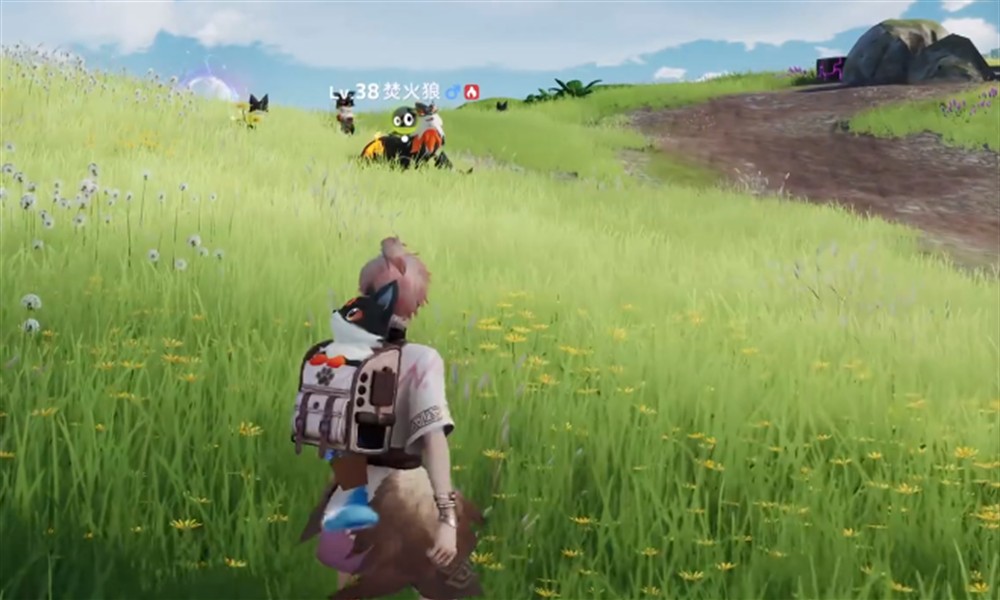 伊莫狼牙岭宠物怎么抓 狼牙岭全宠物捕捉位置详解