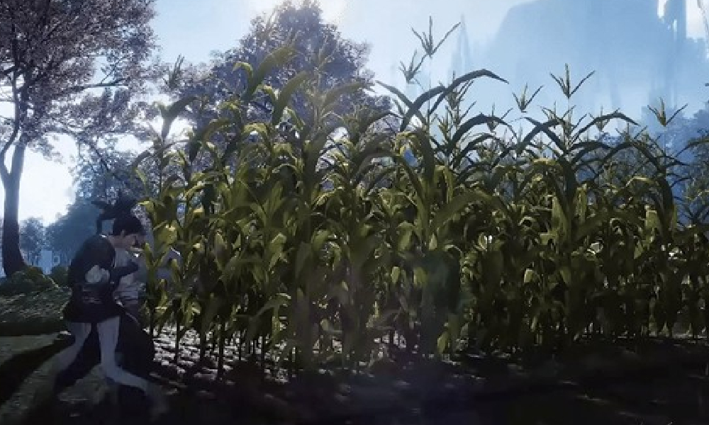 燕云十六声种植玩法怎么玩 燕云种田玩法介绍