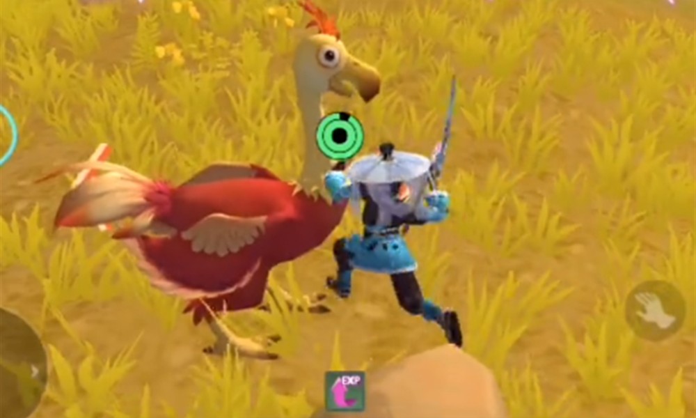 创造与魔法小红陆行鸟在哪抓 创造与魔法小红陆行鸟分布位置