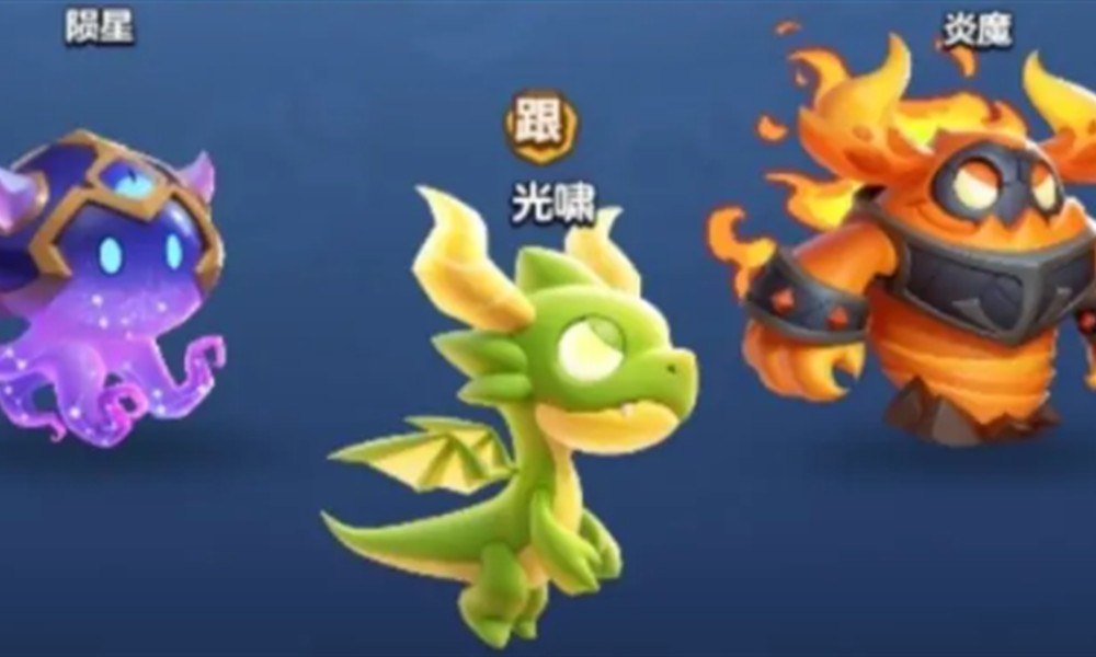 勇者联盟法师宠物怎么选 法师最强宠物搭配推荐