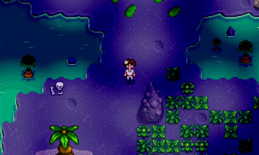 星露谷物语女巫任务怎么做 女巫任务触发条件及流程