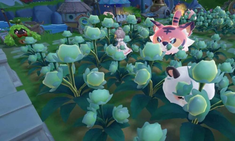 米姆米姆哈苍翠小花怎么收集 苍翠小花提升产量技巧