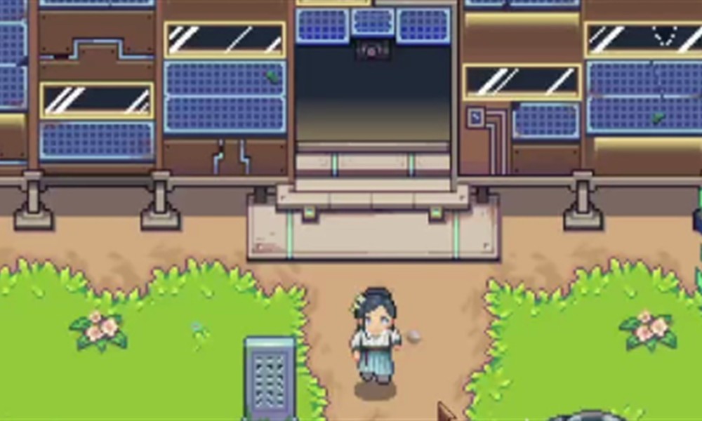 江城创业记茴参在哪采 茴参采集位置详细攻略