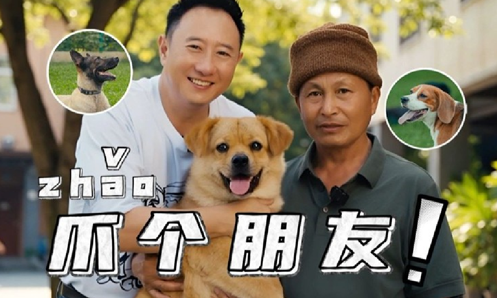 蛋仔派对合养小狗玩法上线 谭Sir邀你成为赛博铲屎官