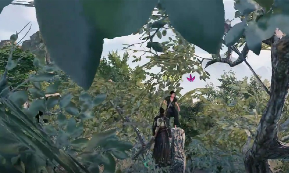 下一站江湖2天门山上任务怎么做 天门山上奇遇任务详细流程