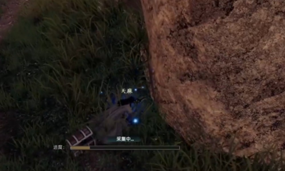 下一站江湖2天麻在哪里找 天麻采集位置详细攻略