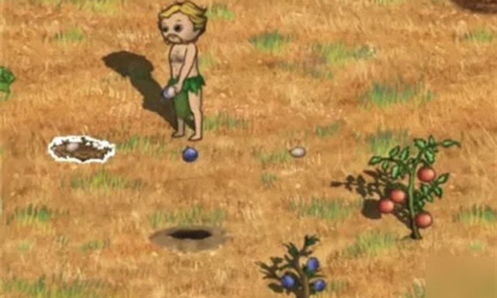 村落人生雨林资源怎么获得 雨林区域资源详细介绍