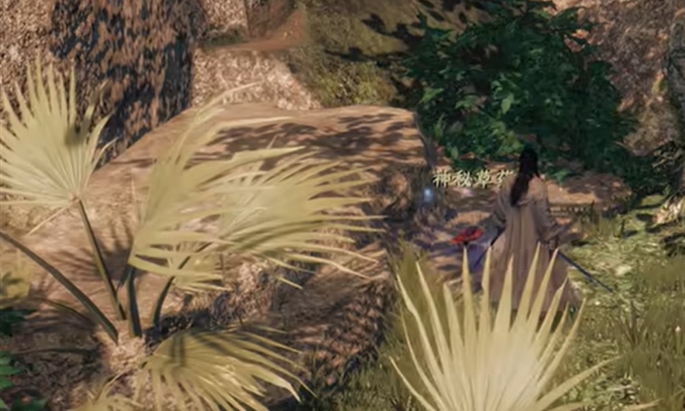 下一站江湖2花安在哪 花安位置坐标详情