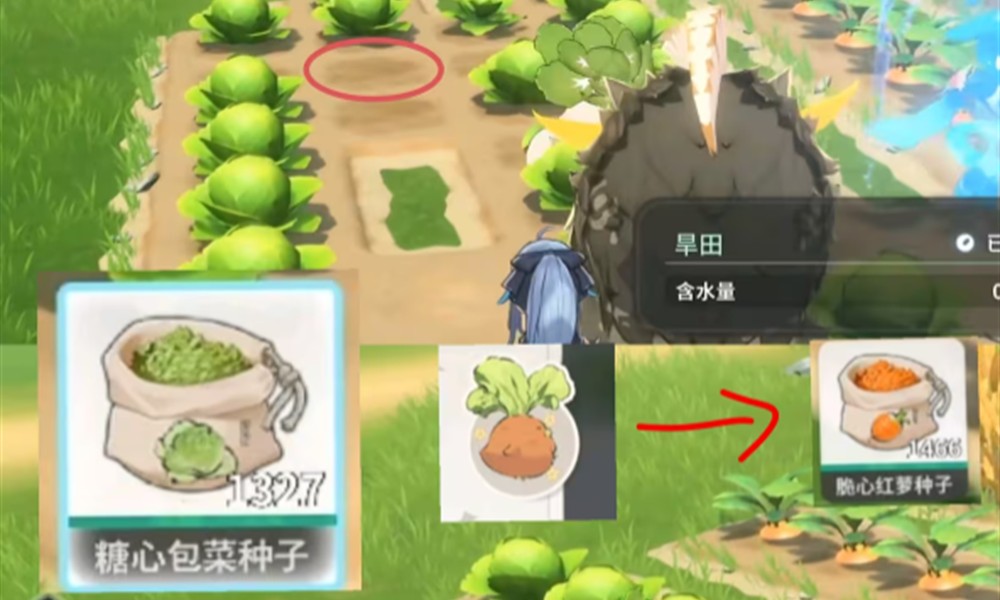 蓝色星原旅谣耕种怎么玩 蓝色星原旅谣浇水方法介绍