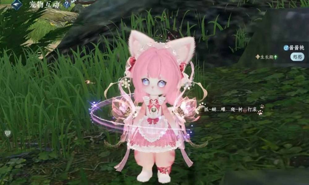 逆水寒手游育宠攻略 新版本虎宝八爪甜点猫怎么繁育