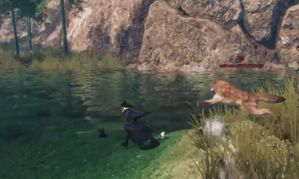 下一站江湖2猿神选项怎么选择 猿神任务攻略详解