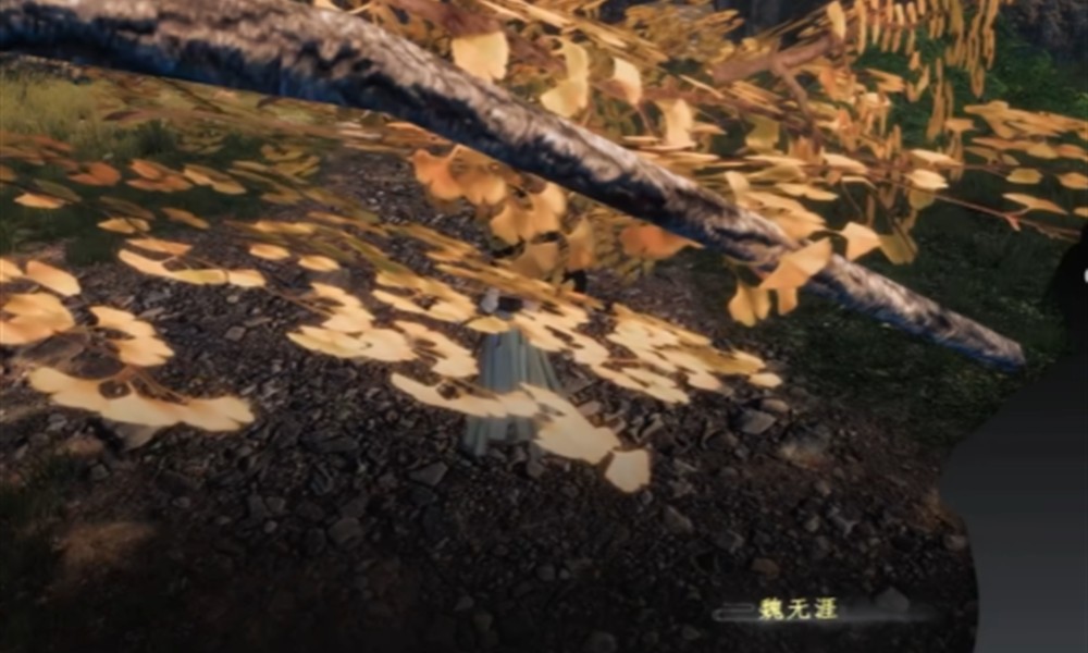 下一站江湖2富家千金怎么玩 富家千金任务玩法详解