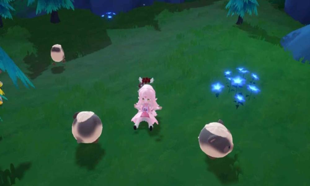 米姆米姆哈47级工作台指南 米姆工作站日常注意事项