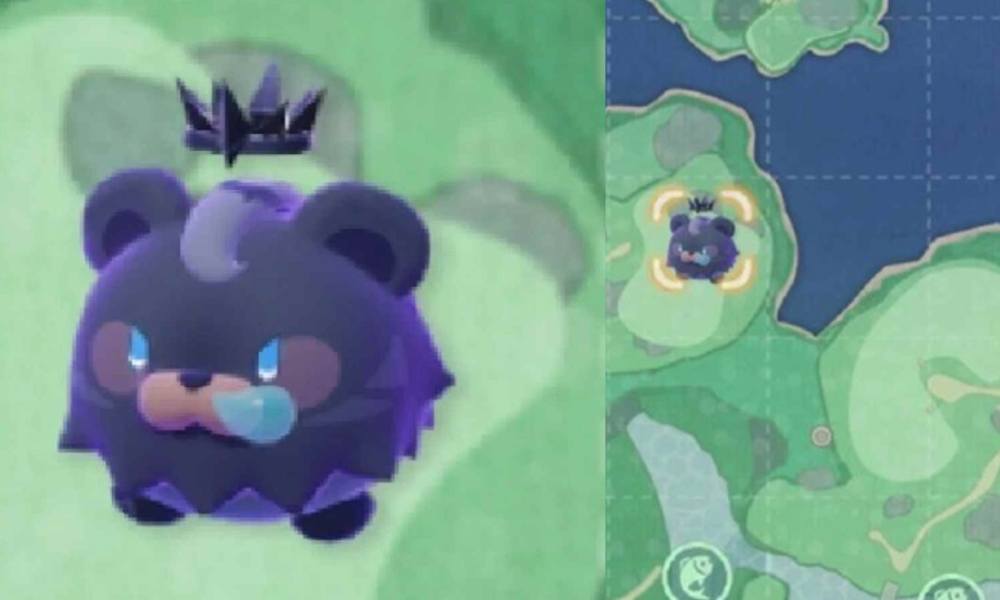 米姆米姆哈黑月熊详细解析 全新米姆黑月熊技能预测