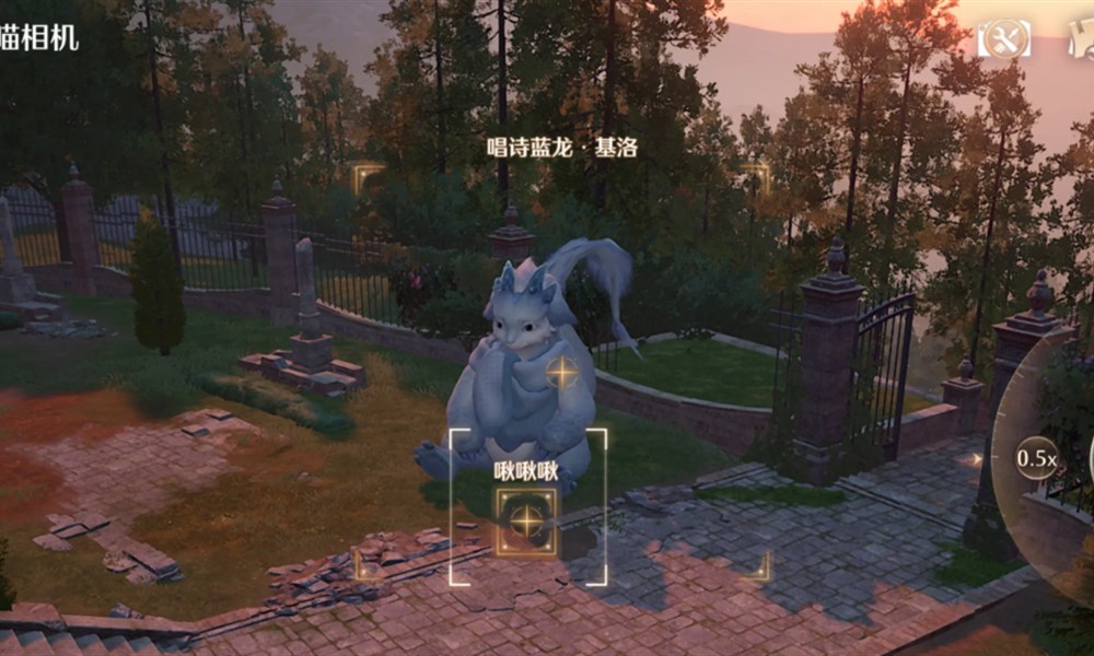 无限暖暖留影拍摄怎么玩 留影拍摄玩法详细介绍