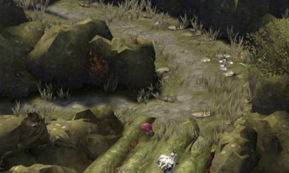 地下城堡4龙痕竞技场徽记怎么获取 获取方式介绍