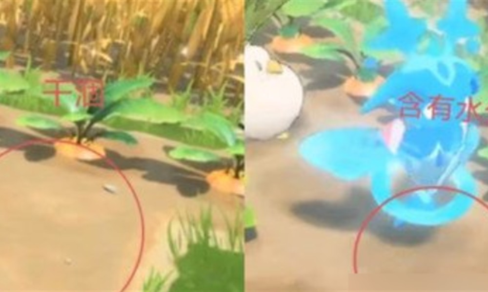 蓝色星原旅谣种菜怎么玩 蓝色星原旅谣种田攻略