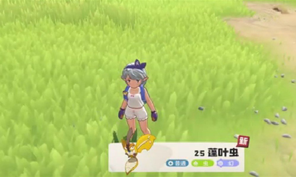 洛克王国世界蓬叶虫怎么抓 蓬叶虫获取方法