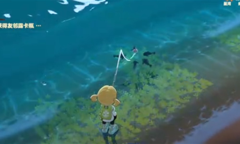 星布谷地钓鱼怎么玩 星布谷地赶海技巧分享