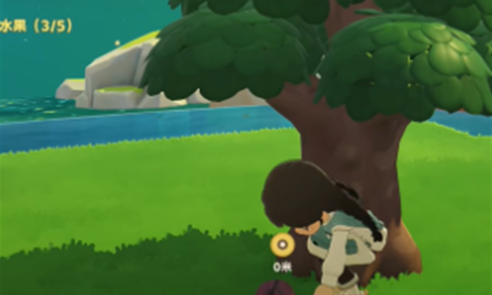 星布谷地阿奇宝怎么获取 五色阿奇宝获取攻略