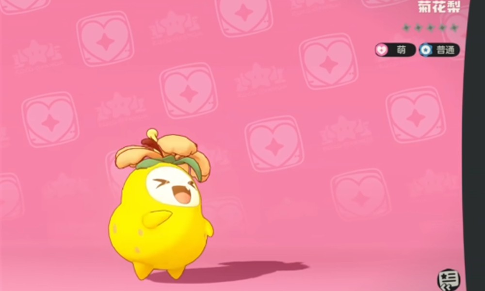 洛克王国菊花梨怎么配招 菊花梨技能搭配推荐