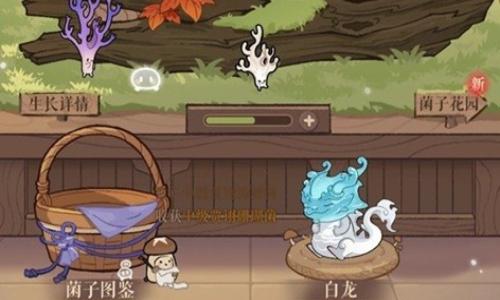 如鸢新活动躬耕南阳玩法攻略 种蘑菇邪修攻略分享