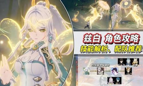 原神月之三兹白角色攻略 当前版本技能解析与配队推荐