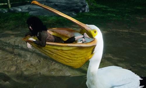 燕云十六声周年庆充值攻略 六元外观买一送一攻略