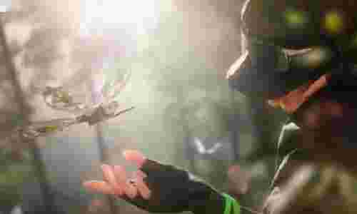 三角洲行动蝶阵容推荐 三角洲蝶和谁组队最好