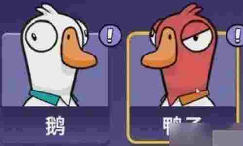 鹅鸭杀怎么快速升级 鹅鸭杀新手高效获取经验