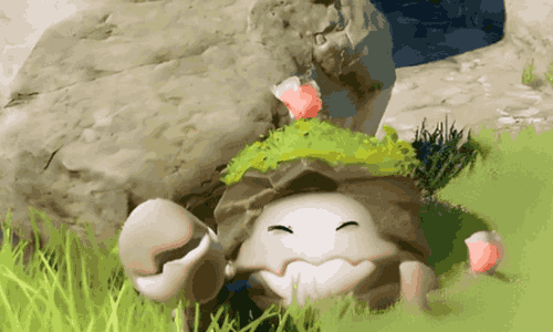 伊莫花芽蟹形态有哪些区别 花芽蟹形态详细介绍